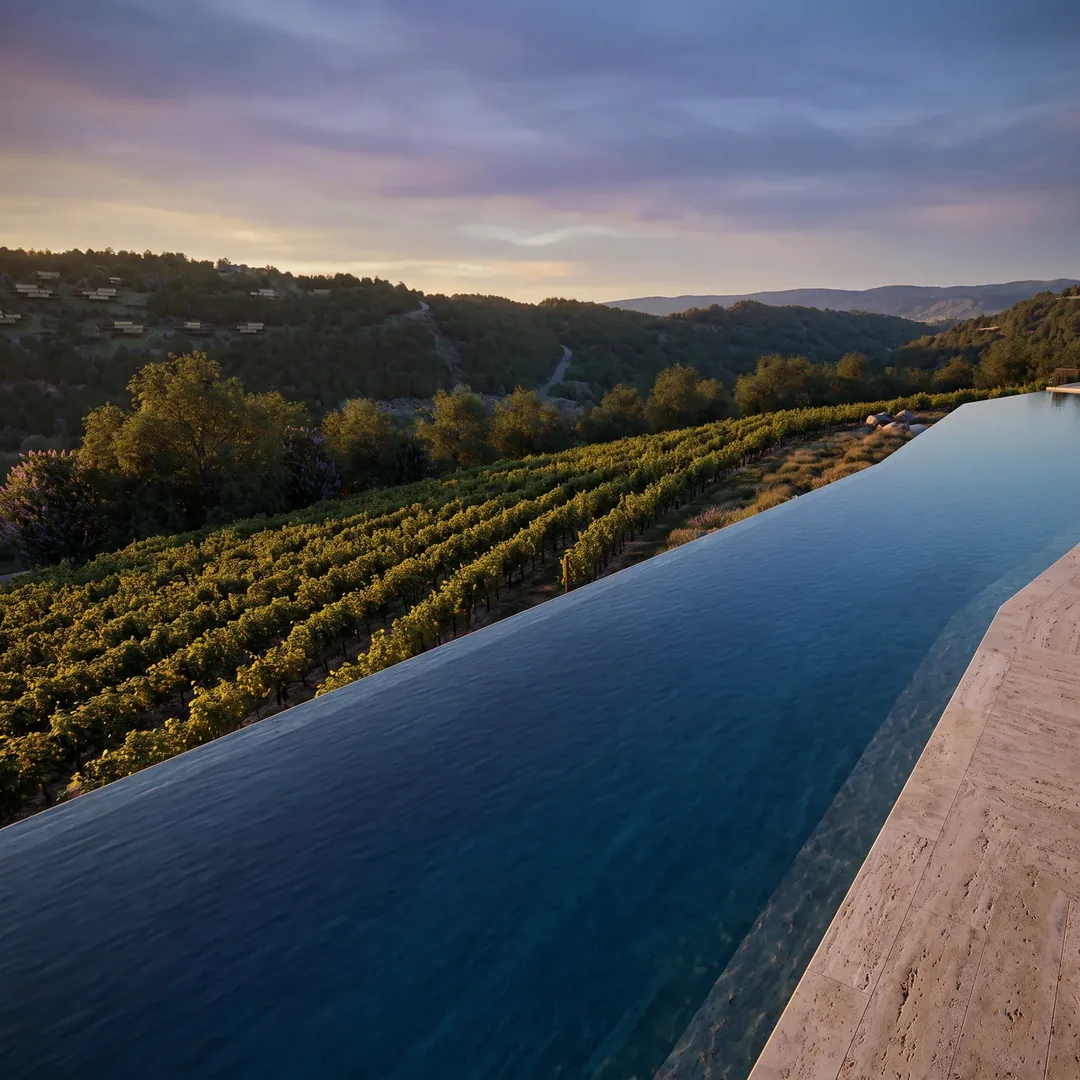 Vineyard axis