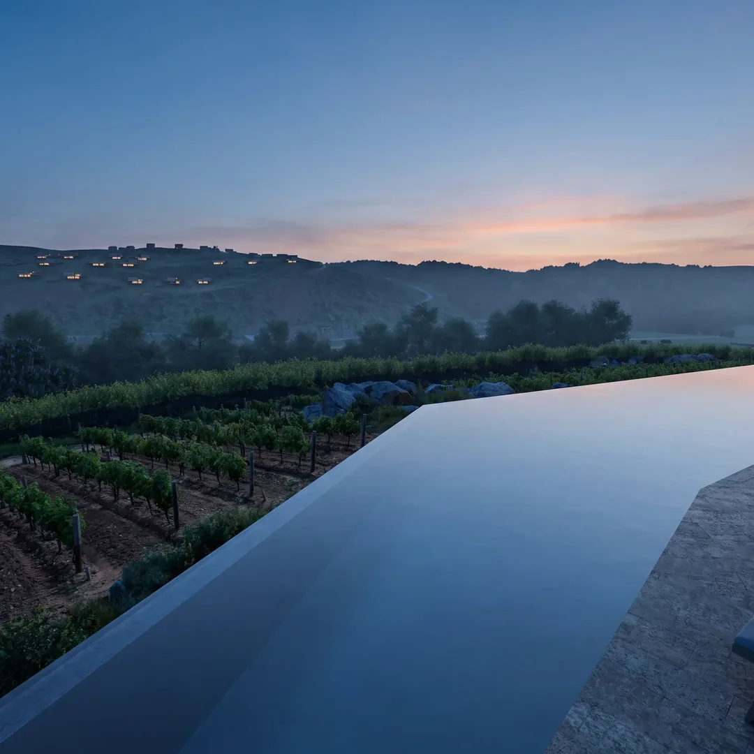 Hillside vineyard
