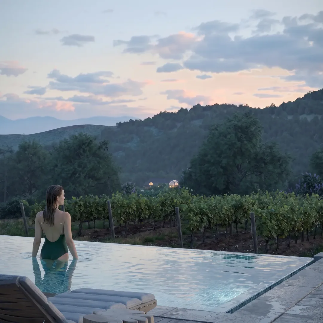 Vineyard glance