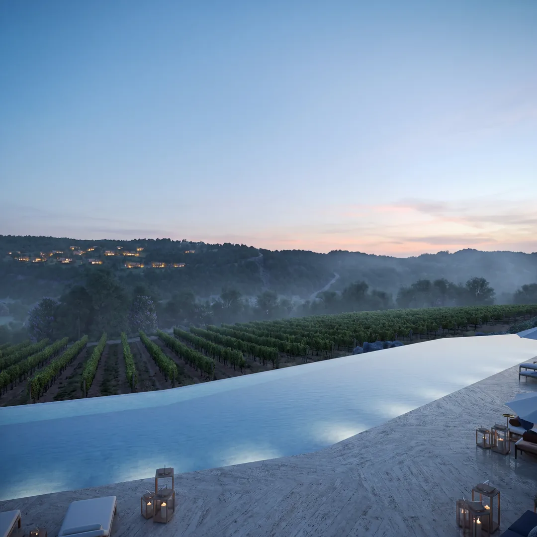 Panorama Vineyard